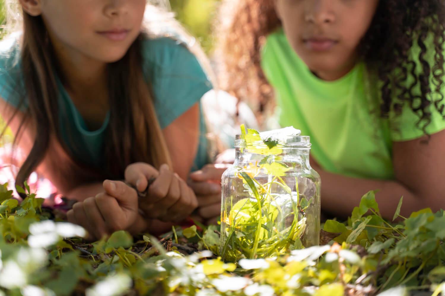 Creating Beauty for a Better Future: An Eco-Education and Community Commitment