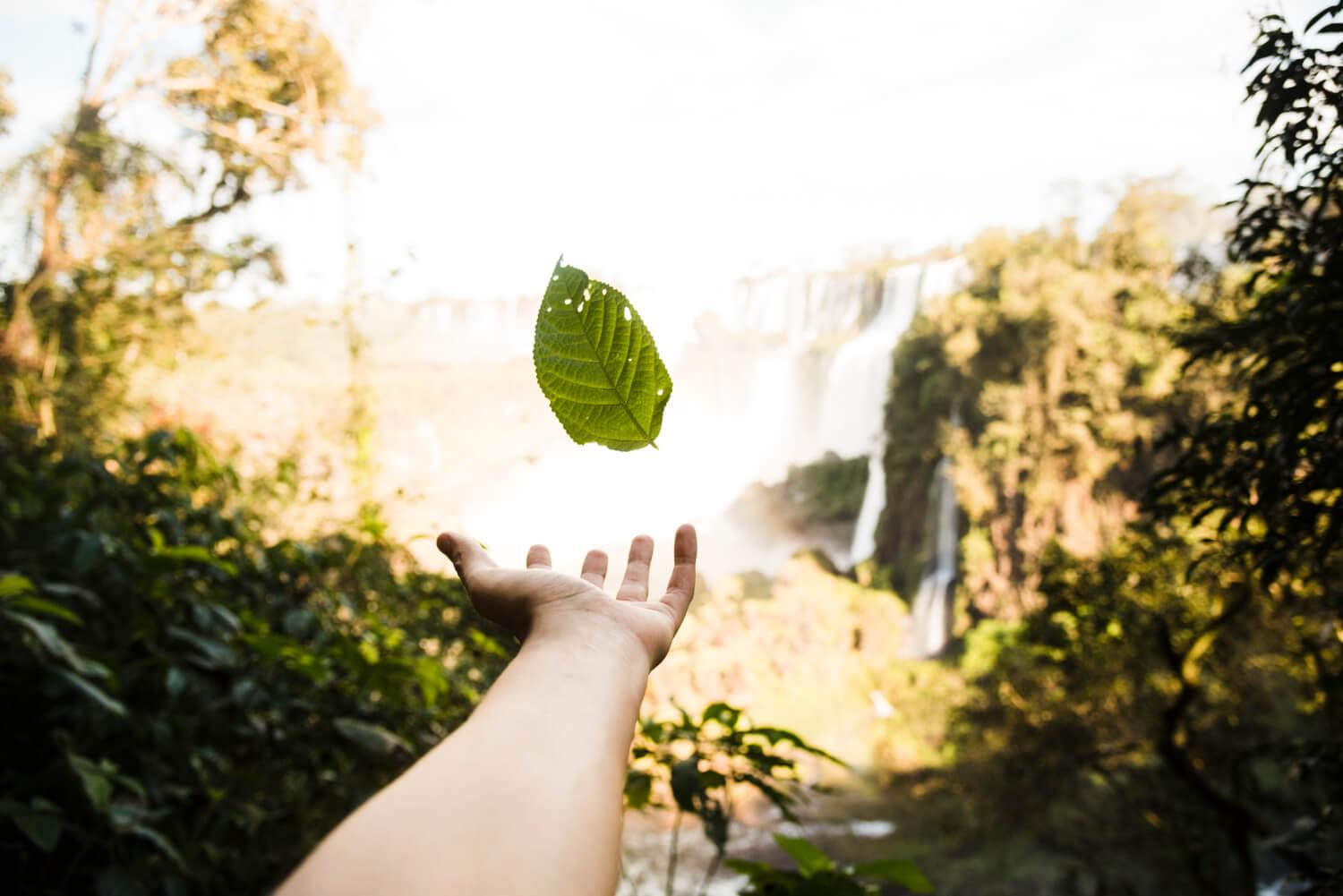 Uniting Sustainability With The Beauty Of Nature