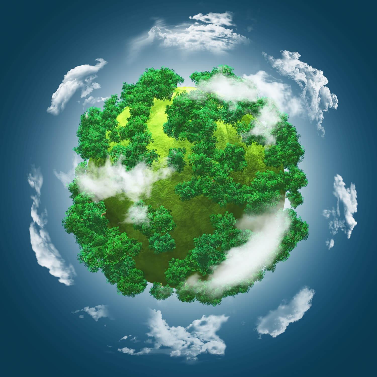 Peace in Green: The Interdependence of Environmental Sustainability