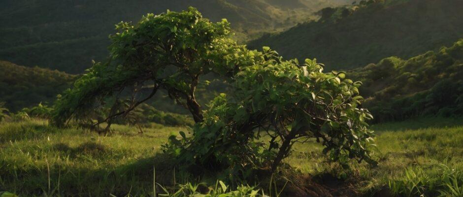 Environmental Conservation Tips