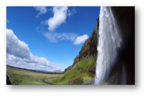 Environmental Conservation Tips